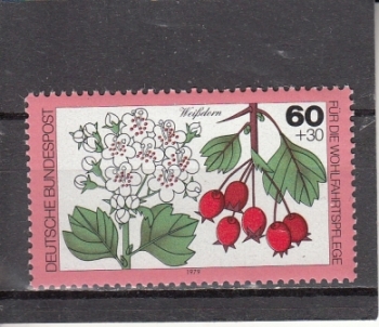 NSR 1026 ** - 1979